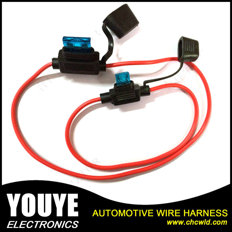 Hot Sale  Automotive Car Fuse