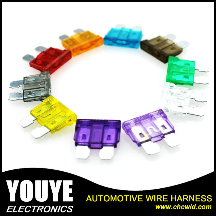 Hot Sale  Automotive Car Fuse